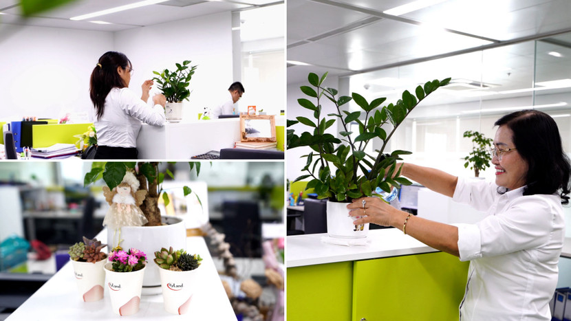 Khối Tài chính Kế toán tôn vinh phong cách trang trí bàn làm việc tối giản, tái sử dụng những đồ vật xung quanh một cách hiệu hiệu quả để duy trì không gian "Xanh-Sạch-Đẹp". Màu xanh không chỉ là cây cối bên ngoài mà còn là tượng trưng cho sự tươi mới và nhiệt huyết.