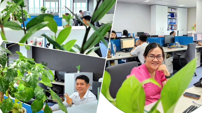 "Xanh, Sạch, Tiết kiệm, Sáng tạo" - Đó là tinh thần mà nhóm 03 phòng: Hành chính, Kế hoạch và Pháp lý dự án 2 đã hướng tới trong việc sắp xếp và bố trí mảng xanh tại khu làm việc. Bằng sự đoàn kết và nỗ lực, liên minh 3 phòng đã thúc đẩy môi trường xanh hơn, giúp giảm thiểu tác động đến môi trường.