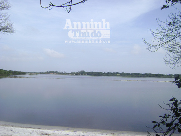 Bí ẩn khu rừng nguyên sinh giữa rú cát ảnh 7