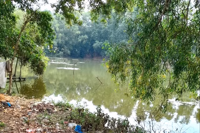 Ao nước nơi 2 cháu bé đuối nước thương tâm. Ảnh: Dân Trí Ao nước nơi 2 cháu bé đuối nước thương tâm. Ảnh: Dân Trí