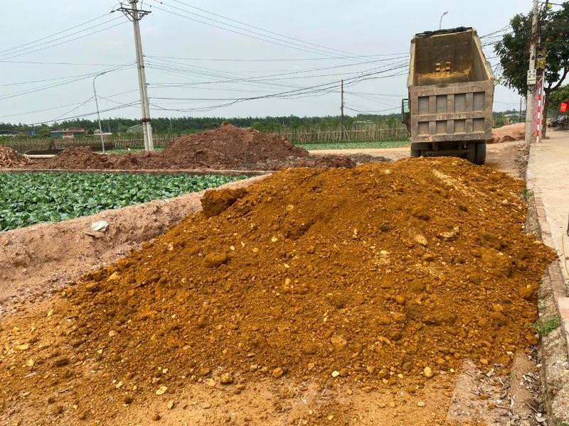 Theo chủ đầu tư là Ban QLDA huyện Hoài Đức, về mặt cảm quan, đất đồi được cấp phép Hòa Bình và đất lậu ở Thạch Thất cũng giống nhau Theo chủ đầu tư là Ban QLDA huyện Hoài Đức, về mặt cảm quan, đất đồi được cấp phép Hòa Bình và đất lậu ở Thạch Thất cũng giống nhau