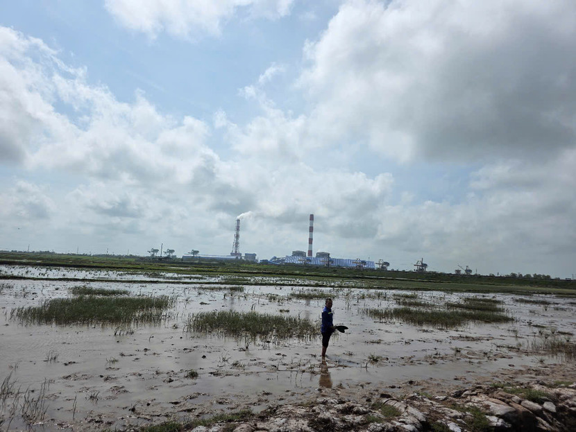 Anh Nguyễn Tiến Dũng, thôn Tiền Hải, xã Đông Trà bất lực khi phải chứng kiến hàng nghìn mét vuông ruộng của gia đình phải bỏ hoang