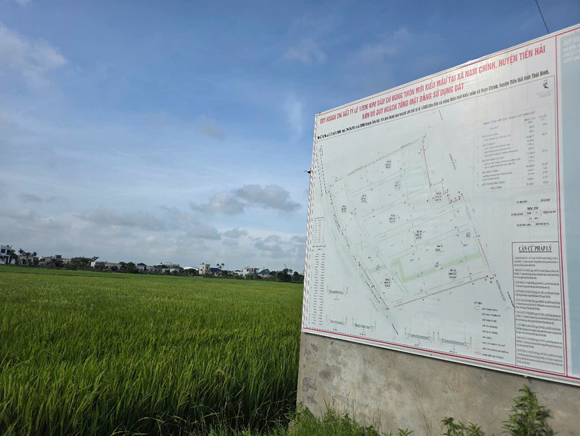 Khu dân cư Nam Chính vẫn mênh mông đồng lúa, chưa có dấu hiệu triển khai dự án từ tháng 8/2024 đến nay