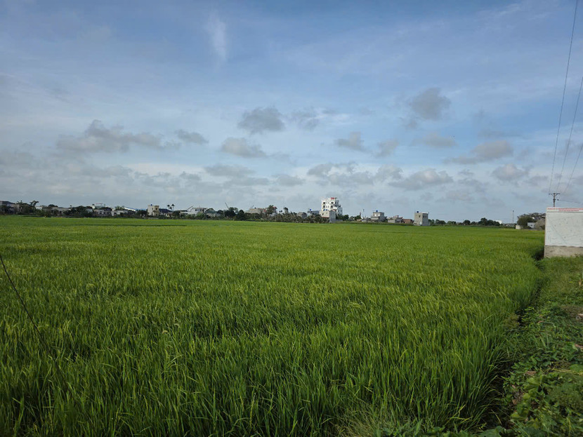 Khu dân cư thu hồi 76.000m2 đất &quot;bờ xôi ruộng mật&quot; của hơn 60 hộ dân canh tác