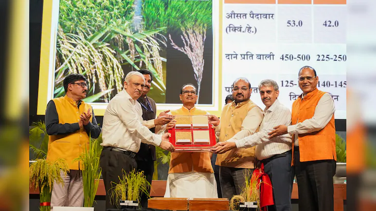 Ấn Độ vừa công bố 2 giống lúa chỉnh sửa gen đầu tiên trên thế giới Ấn Độ vừa công bố 2 giống lúa chỉnh sửa gen đầu tiên trên thế giới