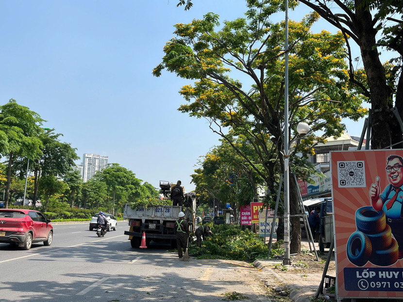 ...đang bị cắt tỉa mạnh tay ...đang bị cắt tỉa mạnh tay