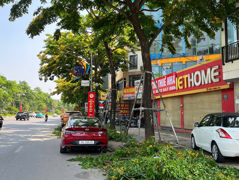 Việc cắt tỉa cây Giáng hương đang mùa hoa nở rộ, cắt tỉa quá gọn gàng khiến người dân tiếc nuối và khó hiểu Việc cắt tỉa cây Giáng hương đang mùa hoa nở rộ, cắt tỉa quá gọn gàng khiến người dân tiếc nuối và khó hiểu