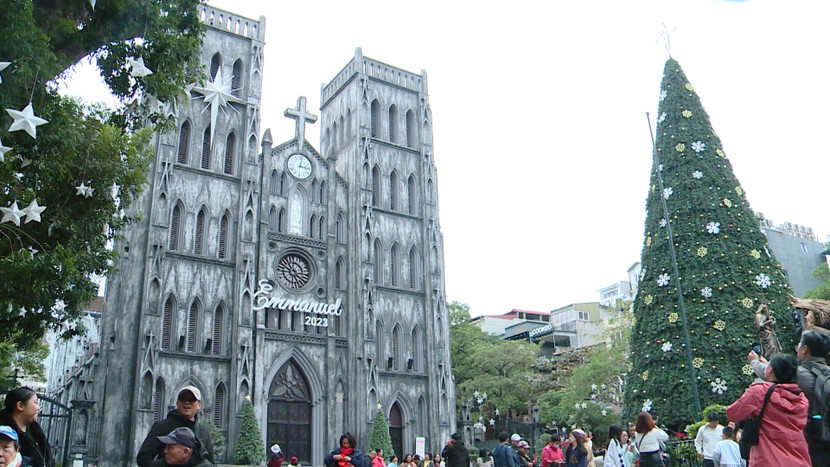 Cây thông Noel cao tới 15 m là dấu ấn đặc biệt thu hút những vị khách tới đây Cây thông Noel cao tới 15 m là dấu ấn đặc biệt thu hút những vị khách tới đây