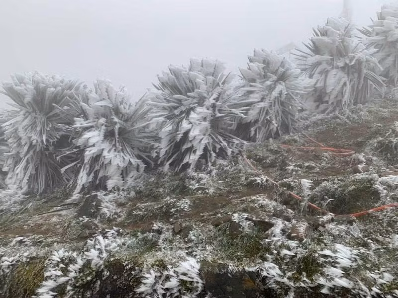 Nhiều nơi ở Bắc bộ nền nhiệt xuống dưới 0 độ C Nhiều nơi ở Bắc bộ nền nhiệt xuống dưới 0 độ C