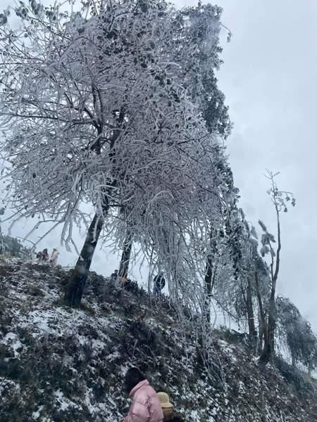 Dù không phải hiện tượng hiếm gặp, nhưng mưa tuyết vẫn khiến nhiều người dân thích thú Dù không phải hiện tượng hiếm gặp, nhưng mưa tuyết vẫn khiến nhiều người dân thích thú