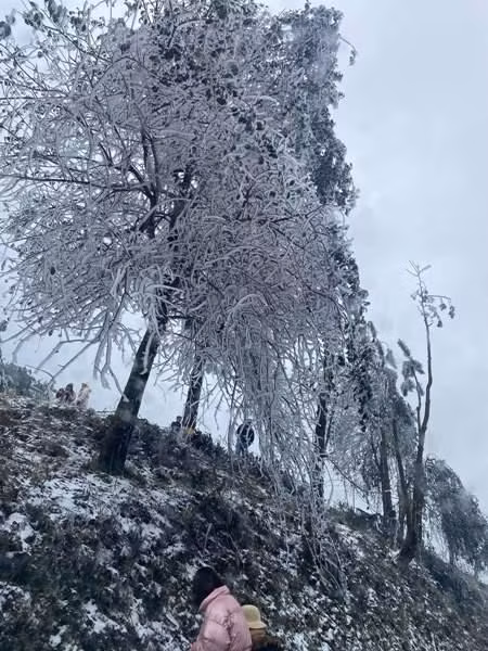 Dù không phải hiện tượng hiếm gặp, nhưng mưa tuyết vẫn khiến nhiều người dân thích thú
