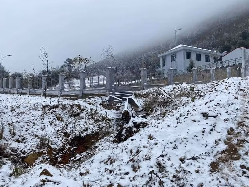 Mưa tuyết phủ trắng nhiều nơi ở Y Tý, Lào Cai