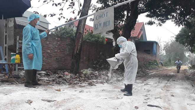 Hiện Việt Nam đang có 2 ổ dịch cúm gia cầm ở Nghệ An và Cao Bằng Hiện Việt Nam đang có 2 ổ dịch cúm gia cầm ở Nghệ An và Cao Bằng