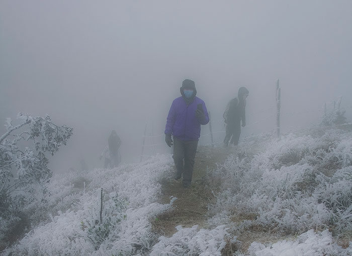 Băng giá phủ trắng nhiều vùng núi cao ở Bắc bộ vào đêm qua và sáng sớm nay 13/1