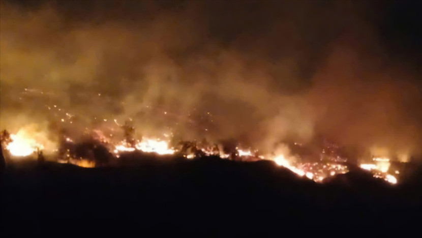 Thủ tướng yêu cầu làm rõ nguyên nhân vụ cháy rừng ở Quảng Ninh