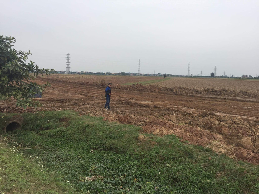 Hà Nội đang lấy ý kiến về việc cho phép xây dựng công trình trên đất nông nghiệp phục vụ sản xuất