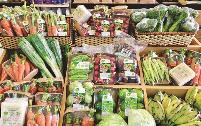 Bộ NN&amp;PTNT yêu cầu chủ động phòng, chống tiêu cực, lợi ích nhóm trong lĩnh vực an ninh, an toàn thực phẩm