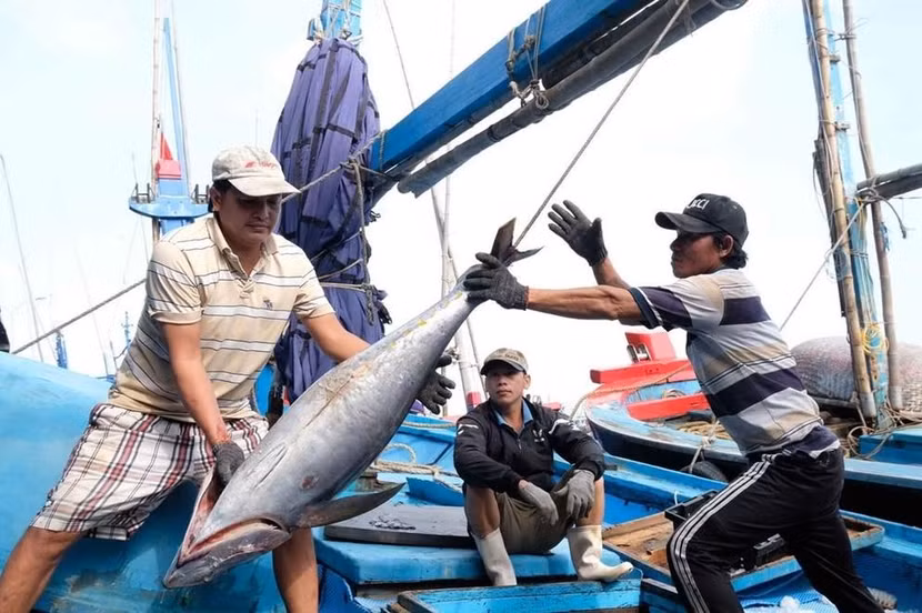Dù nỗ lực để gỡ thẻ vàng EC về chống khai thác IUU nhưng Việt Nam chưa đạt được mục tiêu