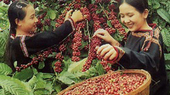 Xuất nhập khẩu tháng 7 giảm nhẹ ảnh 1