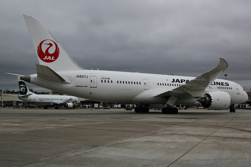Một chiếc máy bay của Hãng hàng không Japan Airlines. Ảnh minh họa