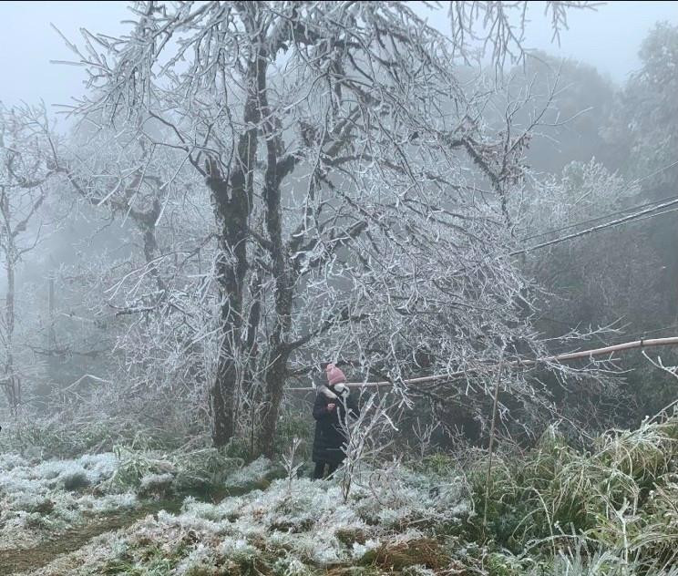Mưa tuyết, băng giá dự báo xuất hiện trong đợt rét đậm, rét hại từ ngày mai ở Bắc bộ