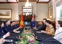 Tổng Bí thư, Chủ tịch nước Tô Lâm hội đàm với Toàn quyền New Zealand