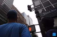 1000044977.jpg