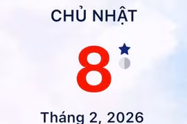 Xem lịch âm - Lịch vạn sự hôm nay ngày 8 tháng 2 năm 2026 tốt hay xấu?