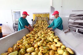 Nông nghiệp vượt bão lũ, rào cản thương mại mang về hơn 70 tỷ USD nhờ xuất khẩu