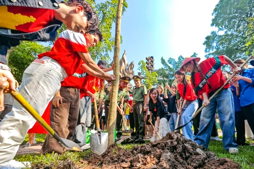 Tết trồng cây Xuân Bính Ngọ 2026: Hà Nội nói không với hình thức, ưu tiên chất lượng