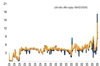 VNDIRECT Research: Nhà đầu tư không nên phản ứng quá mức trước "cú sốc" thanh khoản ngắn hạn