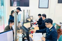 Hải quan có quyền dừng thông quan nếu nghi ngờ hàng giả