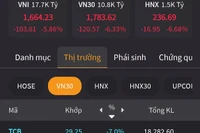Chứng khoán giảm gần 113 điểm - mức giảm sâu nhất trong lịch sử