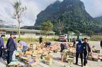 Khởi tố vụ buôn lậu hơn 65.000 thiết bị thuốc lá điện tử và nhiều hàng hóa vi phạm