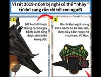 [ẢNH] Những loài động vật là ổ chứa tự nhiên của nhiều virus 
