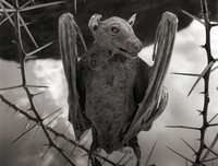 [ẢNH] Những địa điểm du lịch kỳ lạ nhất trên thế giới