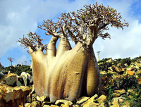 [ẢNH] Những địa điểm du lịch kỳ lạ nhất trên thế giới