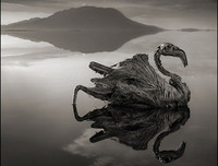 [ẢNH] Những địa điểm du lịch kỳ lạ nhất trên thế giới