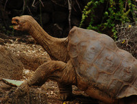 [ẢNH] Điểm danh những thứ 