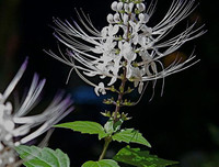 [ẢNH] Những dấu hiệu cảnh báo sớm bệnh sỏi thận bạn nên biết