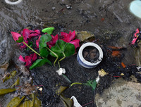 [ẢNH] Phản cảm hình ảnh 