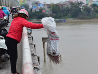 [ẢNH] Phản cảm hình ảnh 