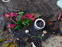 [ẢNH] Phản cảm hình ảnh 