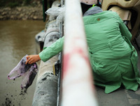 [ẢNH] Phản cảm hình ảnh 