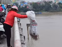 [ẢNH] Phản cảm hình ảnh 