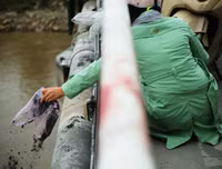 [ẢNH] Phản cảm hình ảnh 