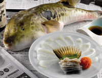 [ẢNH] Những loài động vật xấu xí nhưng có giá cao không ngờ tới