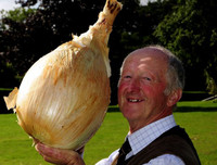 [ẢNH] Những kỷ lục Guinness kỳ lạ nhất hành tinh