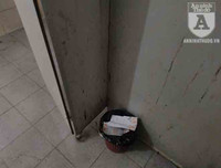 [Ảnh] Công viên Cầu Giấy: Hãi hùng vào nhà vệ sinh công cộng bẩn thỉu