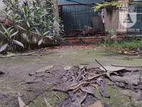 [Ảnh] Công viên Cầu Giấy: Hãi hùng vào nhà vệ sinh công cộng bẩn thỉu